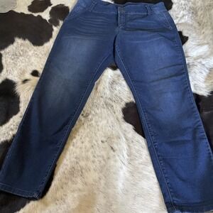 Workshop Petite 16 P Denim Capri Jeans Stretch‎ ( 33 X 11 X 25.5)